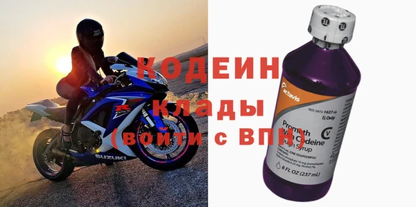 мдпв Вяземский