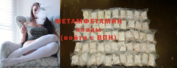 мдпв Вяземский