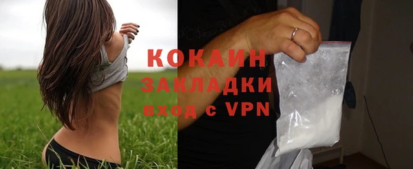 мдпв Вяземский