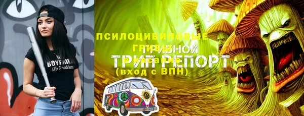 мдпв Вяземский