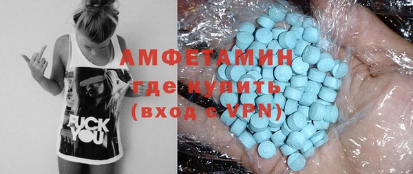 мдпв Вяземский