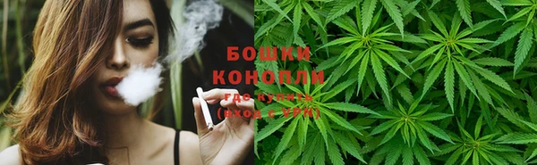 мдпв Вяземский