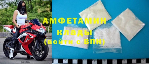 мдпв Вяземский