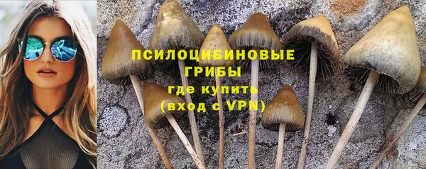 мдпв Вяземский