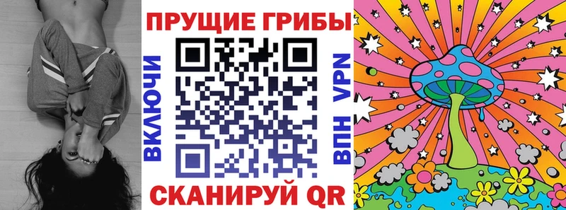 Купить где  Калач  Псилоцибиновые грибы прущие грибы 